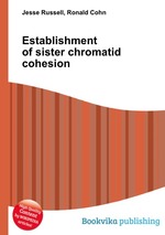 Establishment of sister chromatid cohesion