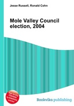 Mole Valley Council election, 2004