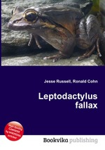 Leptodactylus fallax