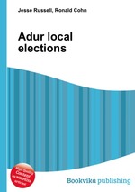 Adur local elections