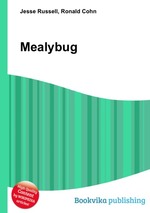 Mealybug