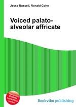 Voiced palato-alveolar affricate