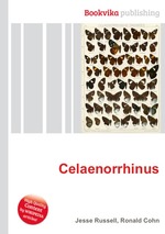 Celaenorrhinus