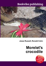 Morelet`s crocodile