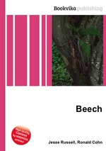 Beech