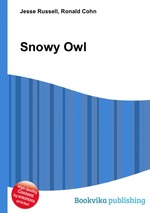 Snowy Owl