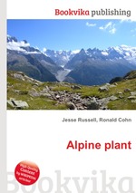 Alpine plant