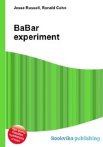 BaBar experiment