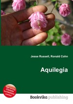 Aquilegia