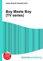 Boy Meets Boy (TV series)