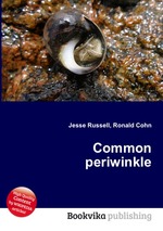 Common periwinkle