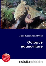 Octopus aquaculture