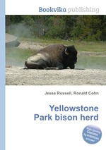 Yellowstone Park bison herd