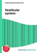 Vestibular system