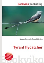 Tyrant flycatcher