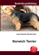 Norwich Terrier