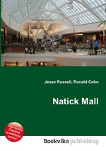 Natick Mall