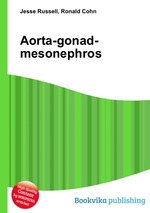 Aorta-gonad-mesonephros