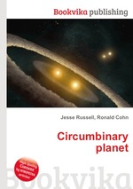 Circumbinary planet