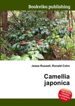 Camellia japonica