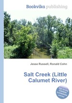 Salt Creek (Little Calumet River)