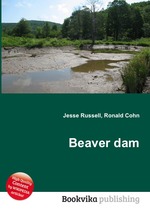 Beaver dam