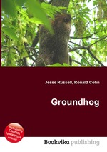 Groundhog