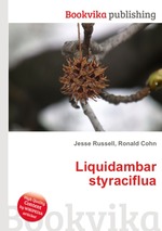 Liquidambar styraciflua