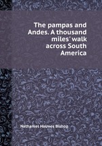 The pampas and Andes. A thousand miles` walk across South America