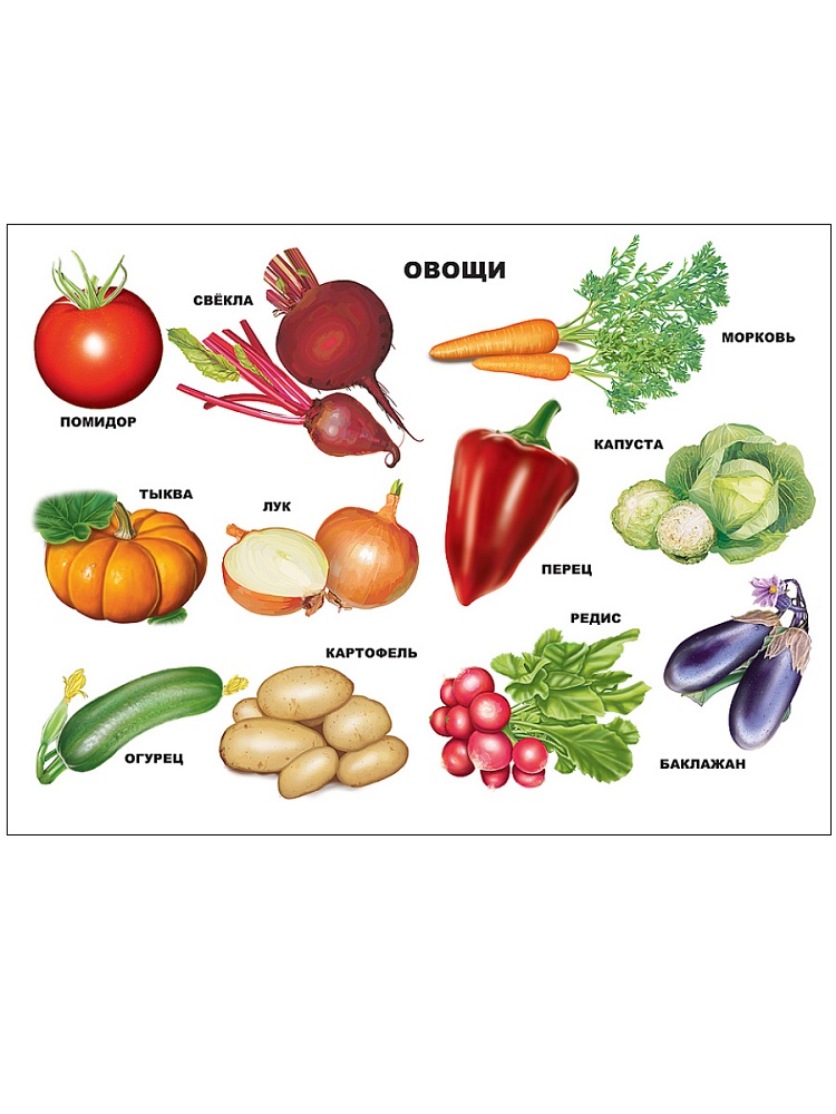 ПЛАКАТ. ОВОЩИ