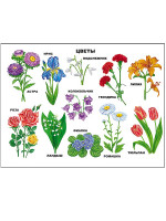 ПЛАКАТ. ЦВЕТЫ