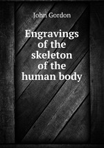 Engravings of the skeleton of the human body