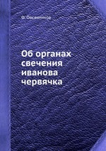 Об органах свечения иванова червячка