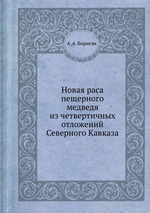 Новая раса пещерного медведя из четвертичных отложений Северного Кавказа