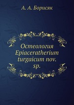 Остеология Epiaceratherium turgaicum nov. sp