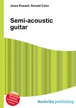 Semi-acoustic guitar