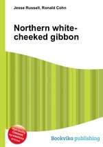 Northern white-cheeked gibbon