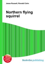 Northern flying squirrel