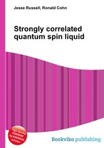 Strongly correlated quantum spin liquid