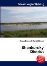 Shenkursky District