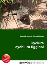 Cyclura cychlura figginsi