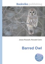 Barred Owl