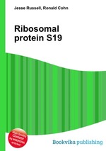 Ribosomal protein S19