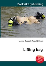 Lifting bag