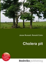 Cholera pit