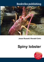 Spiny lobster