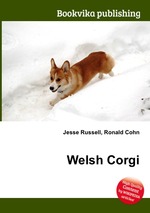 Welsh Corgi