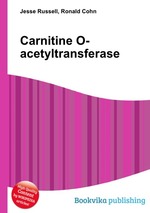 Carnitine O-acetyltransferase