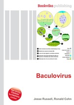 Baculovirus