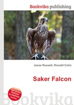 Saker Falcon